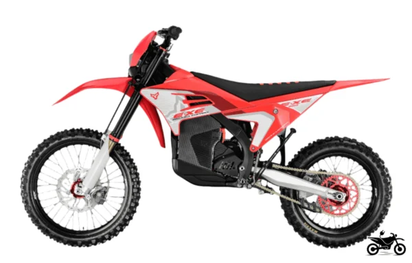 2025 Arctic Leopard EXE 880 - Image 2