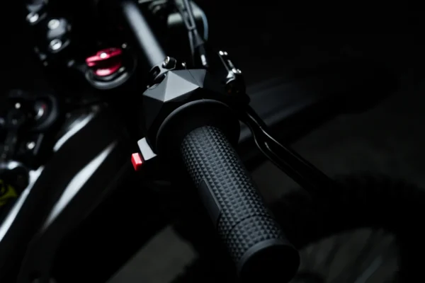 79 BIKE Falcon Pro - Image 3