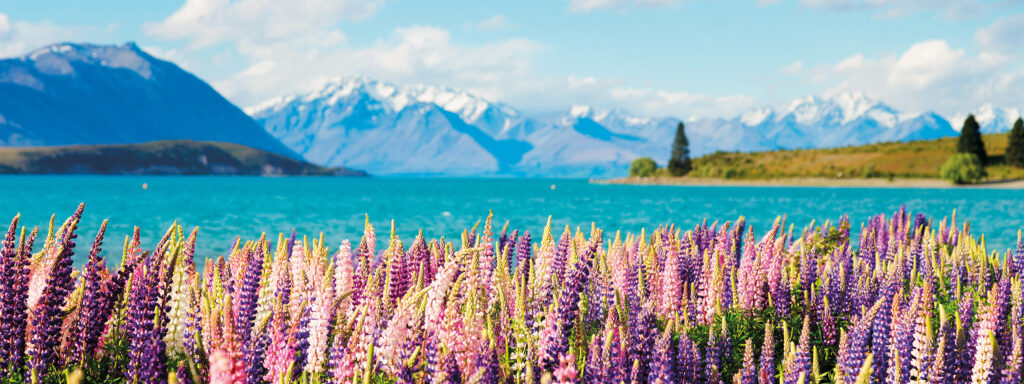 south-nz-sights-lake-tekapo-banner
