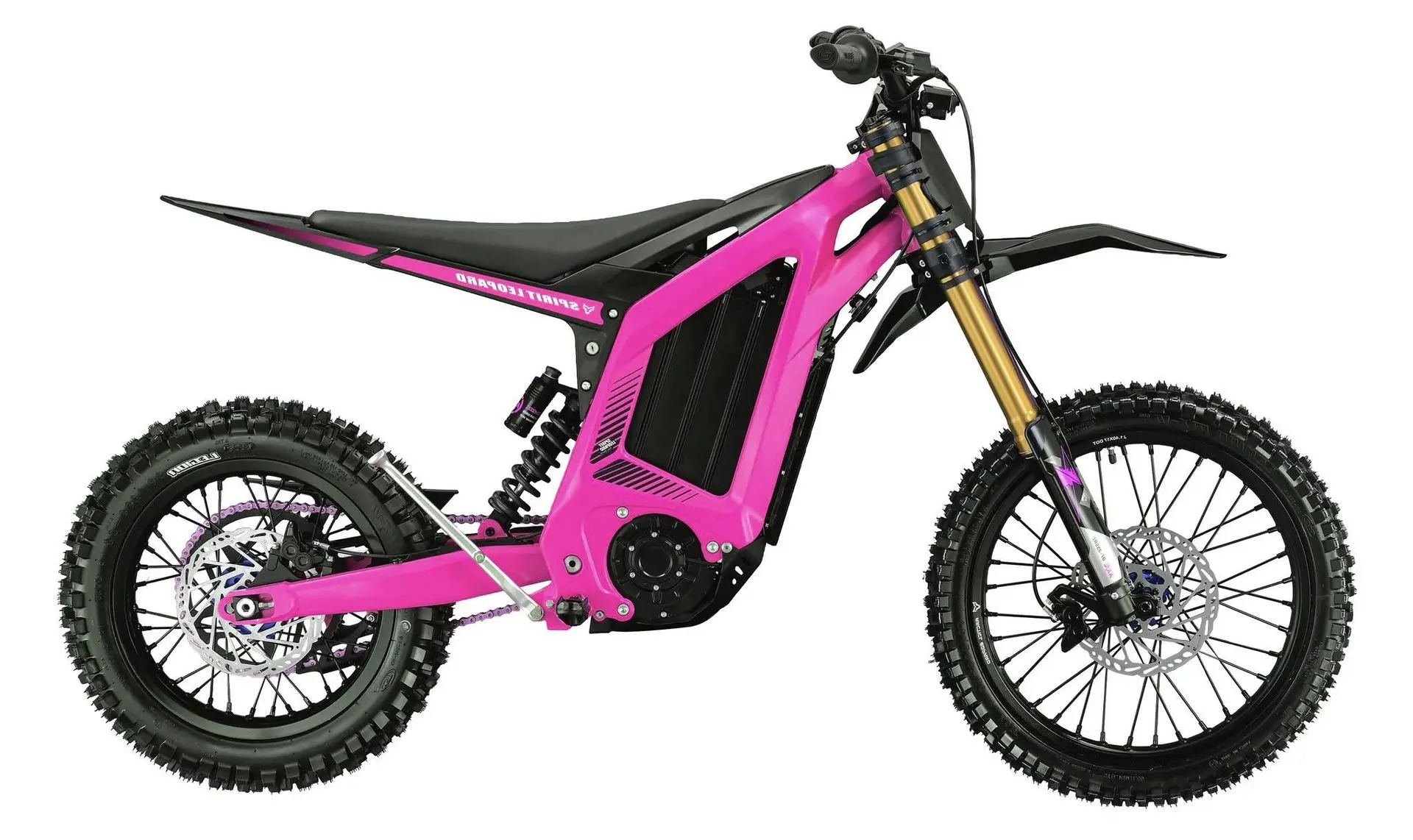 Arctic Leopard Spirit XF PRO 2026 - Image 4